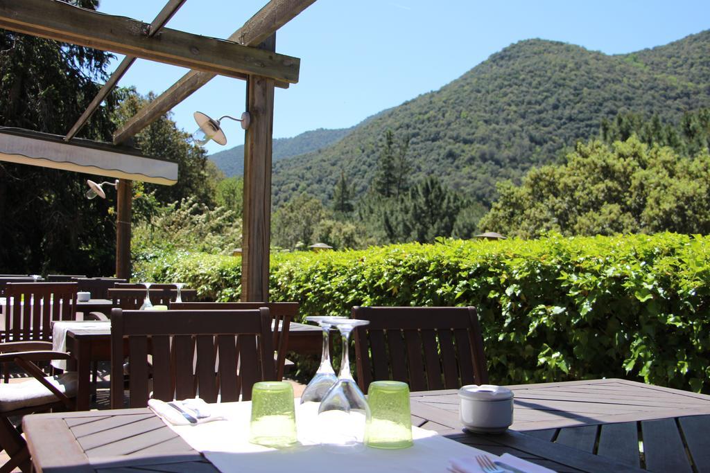 L'ou De Reig Montseny